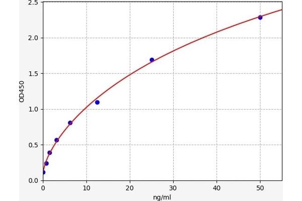 Complement C4 ELISA Kit