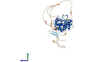 Protein Structure (PS) image for PHD Finger Protein 1 (PHF1) (AA 1-567) protein (His tag) (ABIN7554950)