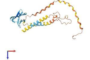 ODF1 Protein (AA 1-247) (His tag)