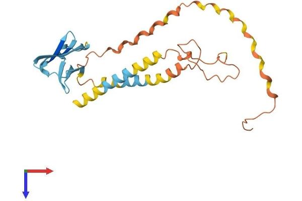 ODF1 Protein (AA 1-247) (His tag)
