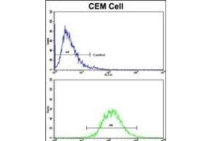 Flow cytometric analysis of CEM cells using HMHA1 Antibody (Center)(bottom histogram) compared to a negative control cell (top histogram).