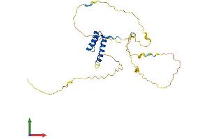 Protein Structure (PS) image for GS Homeobox 1 (GSX1) (AA 1-261) protein (His tag) (ABIN7563112)