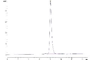 Size-exclusion chromatography-High Pressure Liquid Chromatography (SEC-HPLC) image for Roundabout, Axon Guidance Receptor, Homolog 4 (ROBO4) (AA 27-469) protein (His tag) (ABIN7275523)