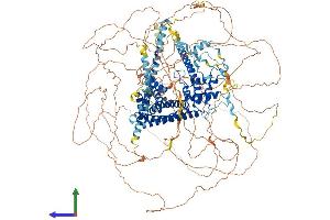 Protein Structure (PS) image for Formin 1 (FMN1) (AA 1-1419) protein (His tag) (ABIN7553949)