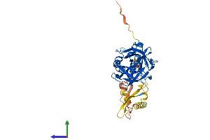Protein Structure (PS) image for Transmembrane Protease, Serine 11A (TMPRSS11A) (AA 1-389) protein (His tag) (ABIN7557255)