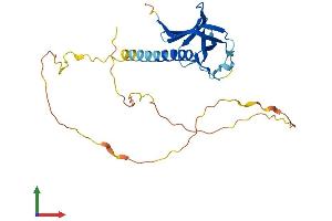 Protein Structure (PS) image for NECAP Endocytosis Associated 1 (NECAP1) (AA 1-275) protein (His tag) (ABIN7560625)
