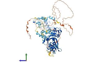 Protein Structure (PS) image for Metastasis Associated 1 (MTA1) (AA 1-715) protein (His tag) (ABIN7554606)