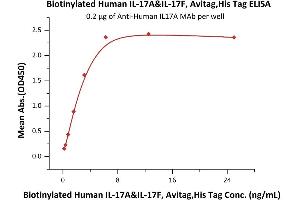 Immobilized A IL17A MAb at 2 μg/mL (100 μL/well) can bind Biotinylated Human IL-17A&IL-17F, Avitag,His Tag (ABIN6253197,ABIN6253524) with a linear range of 0.