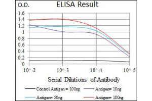 Red: Control Antigen (100ng) ; Purple: Antigen (10ng) ; Green: Antigen (50ng) ; Blue: Antigen (100ng). (Somatostatin Antikörper  (AA 1-116))