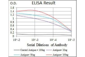 ELISA image for anti-BPI Fold Containing Family A, Member 2 (BPIFA2) antibody (ABIN1847198) (BPIFA2 Antikörper)