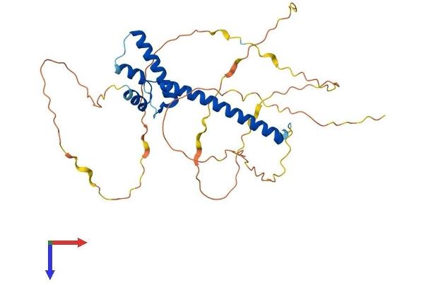 NEUROD4 Protein (AA 1-331) (His tag)