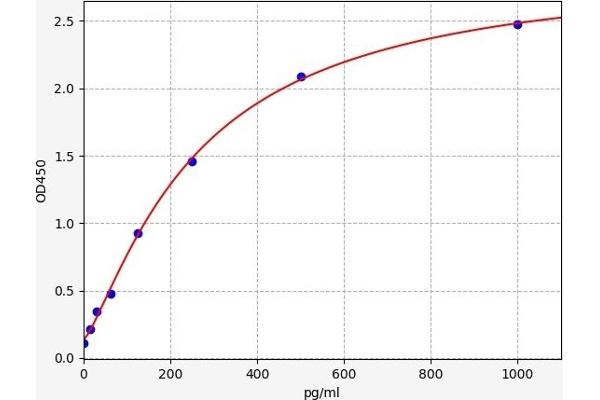 FGF2 ELISA Kit