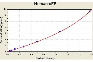 ELISA image for alpha-Fetoprotein (AFP) ELISA Kit (ABIN1113328)