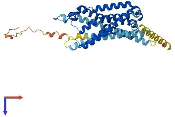 GHSR Protein (AA 1-364) (His tag)
