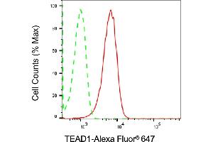 Flow cytometric analysis of TEAD1 expression in HepG2 cells using TEAD1 antibody (ABIN7800525), 1:2,000). (Rekombinanter TEAD1 Antikörper)