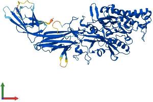 Protein Structure (PS) image for Peptidyl Arginine Deiminase, Type IV (PADI4) (AA 1-663) protein (His tag) (ABIN7554850)
