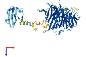 AlphaFold protein structure predicition of Human Recombinant NUDCD1 Protein, UniprotID Q96RS6