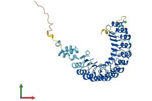 Protein Structure (PS) image for F-Box and Leucine-Rich Repeat Protein 20 (FBXL20) (AA 1-436) protein (His tag) (ABIN7547838)