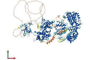 Protein Structure (PS) image for Nitric Oxide Synthase 1, Neuronal (NOS1) (AA 1-1434) protein (His tag) (ABIN7554734)