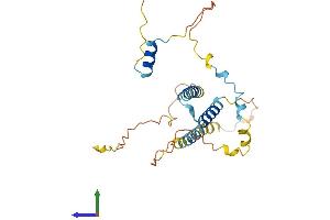 Protein Structure (PS) image for SERTA Domain Containing 1 (SERTAD1) (AA 1-236) protein (His tag) (ABIN7561659)