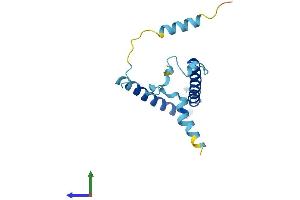PIGP Protein (AA 1-158) (His tag)