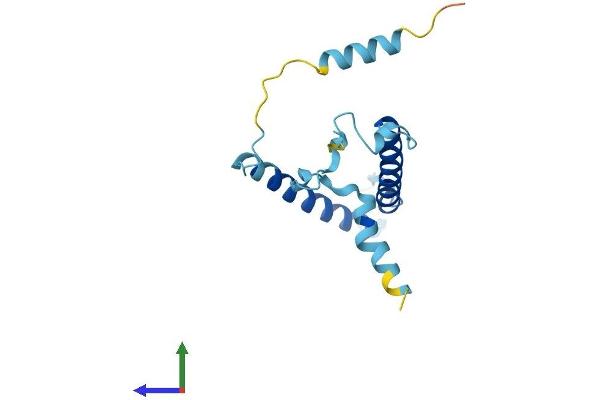PIGP Protein (AA 1-158) (His tag)