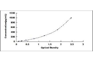 Typical standard curve (TNF alpha ELISA Kit)