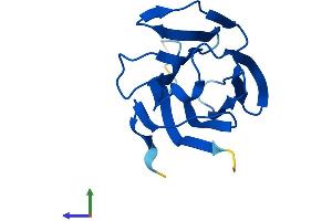 AlphaFold protein structure predicition of Human Recombinant LGALS16 Protein, UniprotID A8MUM7