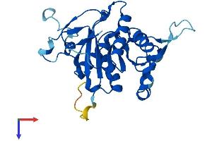 PSMG2 Protein (AA 1-264) (His tag)