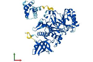 AlphaFold protein structure predicition of Human Recombinant POLE2 Protein, UniprotID P56282 (POLE2 Protein (AA 1-527) (His tag))