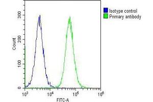 Overlay histogram showing Hela cells stained with (ABIN655062 and ABIN2844692) (green line). (CAD Antikörper  (AA 780-809))