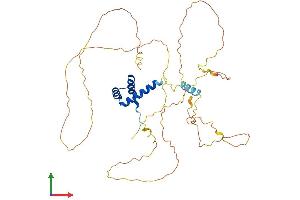 Protein Structure (PS) image for EVX1 (EVX1) (AA 1-416) protein (His tag) (ABIN7562981)