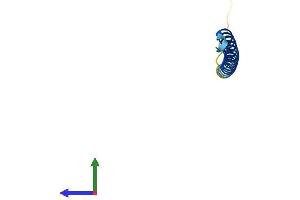Protein Structure (PS) image for Coiled-Coil Domain Containing 23 (CCDC23) (AA 1-66) protein (Fc Tag) (ABIN7560383)
