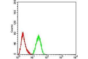 Flow cytometric analysis of Hela cells using KDM1A mouse mAb (green) and negative control (red). (LSD1 Antikörper  (AA 55-263))