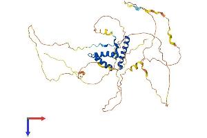 SOX17 Protein (AA 1-419) (His tag)