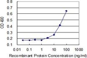 Sandwich ELISA detection sensitivity ranging from 3 ng/mL to 100 ng/mL.