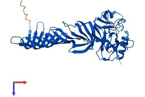 SETD7 Protein (AA 1-366) (His tag)