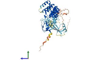 Protein Structure (PS) image for NADPH Oxidase Activator 1 (NOXA1) (AA 1-444) protein (His tag) (ABIN7559385)