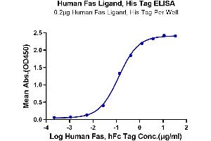 Immobilized Human Fas Ligand, His Tag at 2 μg/mL (100 μL/Well) on the plate.