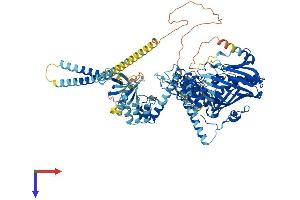 OSBPL1A Protein (AA 1-950) (His tag)