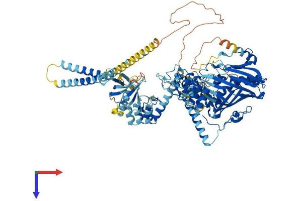 OSBPL1A Protein (AA 1-950) (His tag)