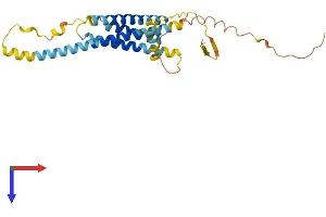 TMEM176B Protein (AA 1-270) (His tag)