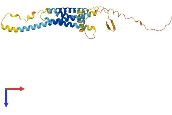 TMEM176B Protein (AA 1-270) (His tag)