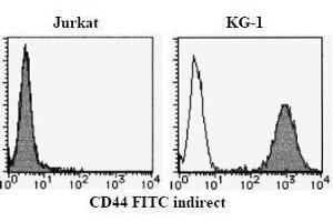 Flow Cytometry (FACS) image for anti-CD44 (CD44) antibody (ABIN1449180) (CD44 Antikörper)