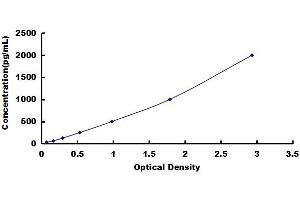 Interferon-Induced Transmembrane Protein 3 (IFITM3) ELISA Kit