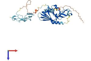 ITGB1BP2 Protein (AA 1-350) (His tag)