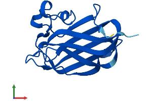 Protein Structure (PS) image for Nuclear Receptor 2C2-Associated Protein (NR2C2AP) (AA 1-140) protein (His tag) (ABIN7557092)