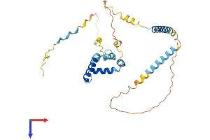 TIPIN Protein (AA 1-301) (His tag)
