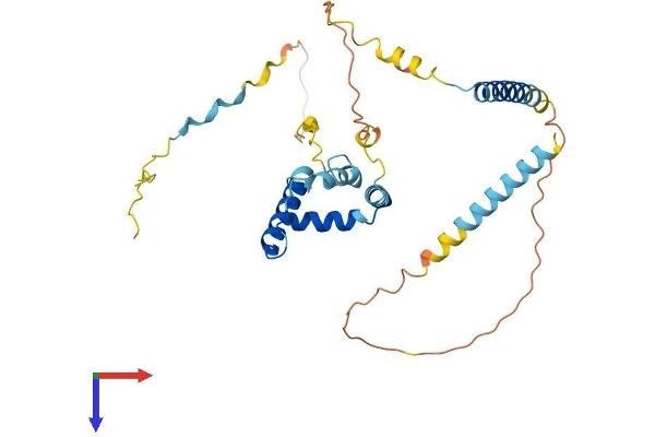 TIPIN Protein (AA 1-301) (His tag)