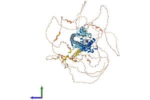 AlphaFold protein structure predicition of Human Recombinant MICALL1 Protein, UniprotID Q8N3F8